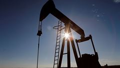 Cena americk ropy je po masivnm propadu zpt v kladnm psmu