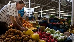 Farmáské trhy v Holeovicích