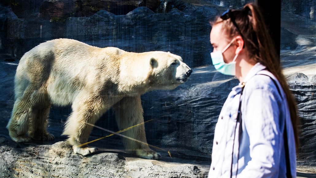 Návtvníci v ZOO Praha.