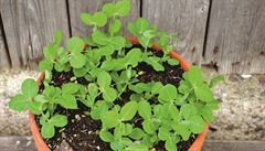 Vyp�stuj si hrá�ek