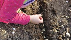 Vyp�stuj si hrá�ek