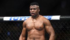 Francis Ngannou.