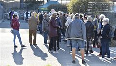 Lidé �ekají frontu u univerzitního kampusu v Brn�, kde za�alo testování vzorku...