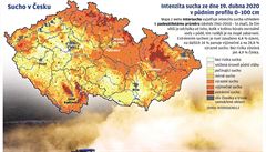 Grafika - Sucho v �esku.