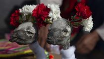 Náměstek bolivijské vlády uspořádal ve čtvrtek tradiční incký rituál, během...