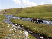 O pár set výkových metr ní v Kyrgyzstánu je tráva zelenjí, voda stejn...