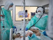Na snímku Jan Berouek (vpravo) vyetuje pacienta s covidem-19