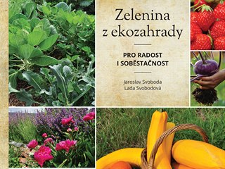 Zelenina z ekozahrady