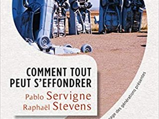 Pablo Servigne, Raphal Stevens, Comment tout peut seffondrer. Petit manuel de...