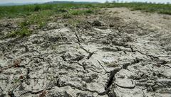 Expert: O dopadu sucha rozhodnou pt tdny, mus zapret. V krajin chyb rok srek