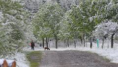 Meteorologov varuj zemdlce ped nonmi mrazky, teploty budou klesat pod nulu