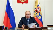 Prezident Vladimir Putin na videokonferenci 29. května.