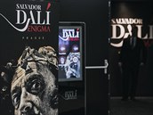 Výstava Salvadora Dalího Enigma se v Praze znovu otevela po epidemii koronaviru