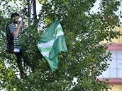 Fanouek Bohemians sleduje utkání zavený na strom u stadionu.