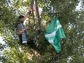 Fanouek Bohemians sleduje v korun stromu zápas svých oblíbenc s Teplicemi.