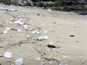 Na plá v Sydney moe vyplavilo desítky kus plastového materiálu a ochranných...