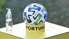 Mí� a desinfekce p�ed duelem Boleslav - Slavia.