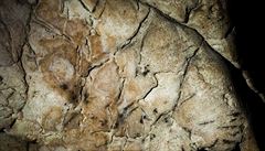 Kultovní čáry na Mozku? V Moravském krasu objevili nejstarší kresbu v Česku, vznikla před 7000 lety