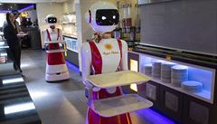 V nizozemské restauraci budou jako obsluha pracovat roboti.