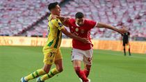 Portugalsk liga: Benfica Lisabon - Tondela (Adel Taarabt, Richard Rodrigues)