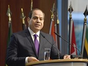 Egyptský prezident řekl, že Karikatury Mohameda urážejí 1,5 miliardy lidí, a měly by skončit