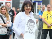 Demonstrace proti Babiovi na Mírovém námstí v Ústí nad Labem. Nkteí lidé...