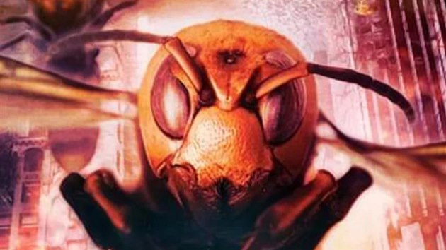 Snímek Angry Asian Murder Hornets (2020). Reie: Dustin Ferguson.