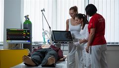 Figuríny stojí miliony korun.