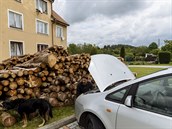 O pár metr� vedle opravuje asi �ty�icátník auto, po boku má psa. �Spousta lidí...
