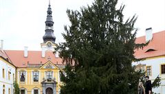 Úchvatné jsou také zámecké zahrady. R��ová byla zalo�ena u� na konci 17....