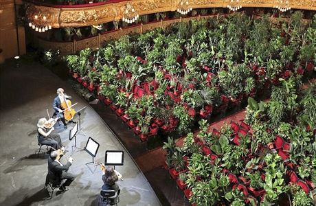 Puccini pro zelen obecenstvo. panlsk opern dm Gran Teatro del Liceu v...
