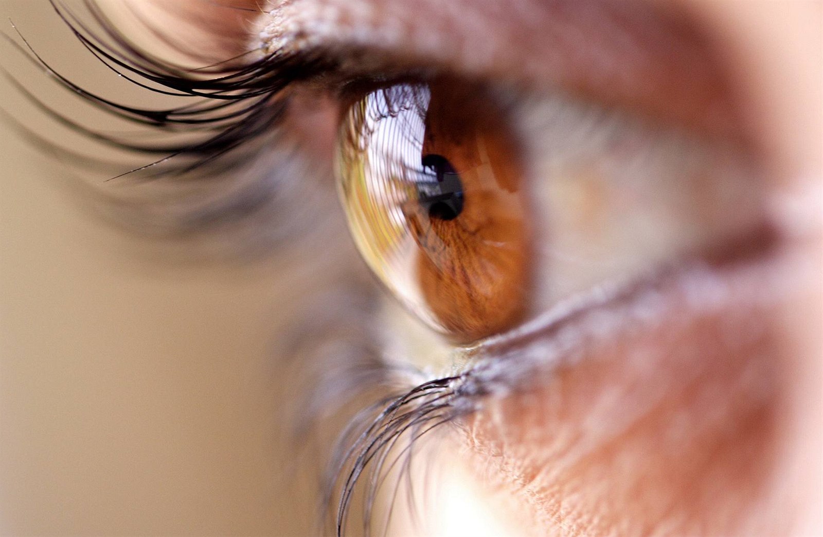 Snaha o záchranu zraku směřuje od vývoje umělé oční sítnice až po úsilí  napodobit regeneraci oka u obojživelníků | Věda | Lidovky.cz