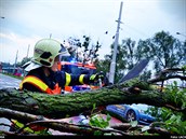 Hasii odstraují stromy v Ostrav-Zábehu, které popadaly po silném deti v...