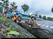 Hasii odstraují stromy v Ostrav-Zábehu, které popadaly po silném deti v...