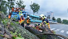 Hasi�i odstra�ují stromy v Ostrav�-Záb�ehu, které popadaly po silném de�ti v...
