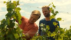 Snímek 3Bobule (2020). Re�ie: Martin Kopp,