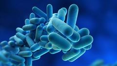 Tuberkulóza původně začala u lidí, ne u zvířat, tvrdí vědci