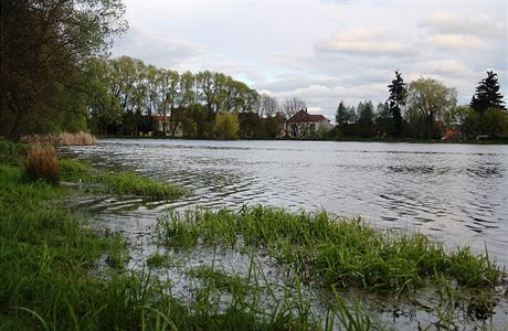 Třebíčský rybník Kuchyňka