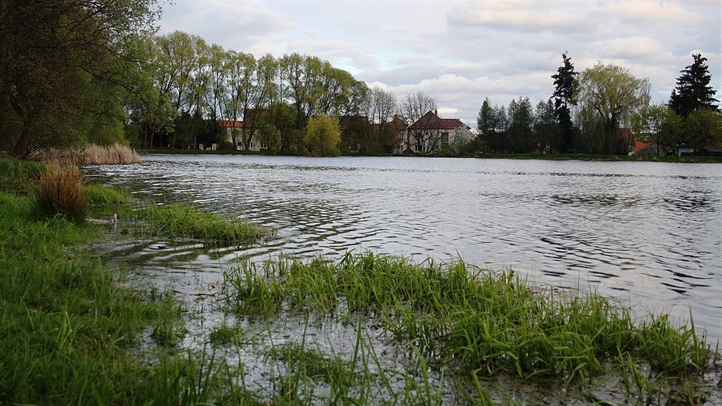 Tebíský rybník Kuchyka