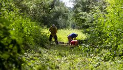 Do dal�í práce na zaniklé trati nad Zubrnicemi v �eském st�edoho�í se 5....