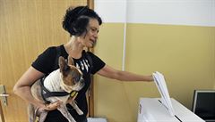 V porovnání napíklad s polskými volbami jsou opatení proti íení covidu...