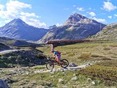 Trail Ospizio Bernina - Morteratsch