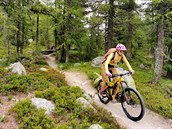 Trail Ospizio Bernina - Morteratsch