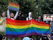 LGBT aktivisté protestují proti zmnám v ruské ústav, pro které se vyslovila...