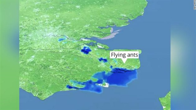 Rojící se mravence zachytila z vesmíru britská meteorologická stanice Met...