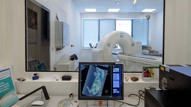 Neivá zvíata do dvou set kilogram mohou na svém CT skeneru zkoumat na...