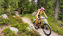 Trail Ospizio Bernina - Morteratsch