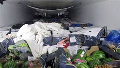 Nmeck policie nala na hranici s R 31 benc. Ukrvali se v chladcm voze mezi  ovocem a zeleninou