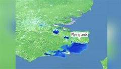Meteorology ve Velk Britnii zmtli ltajc mravenci, na radaru vypadali jako deov mrak