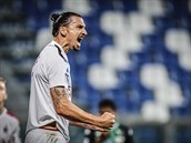 Zlatan Ibrahimovic slaví svou branku.